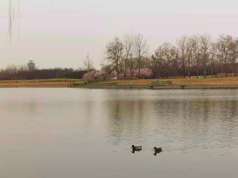 有地铁直达的公园,地铁可达的郊野公园