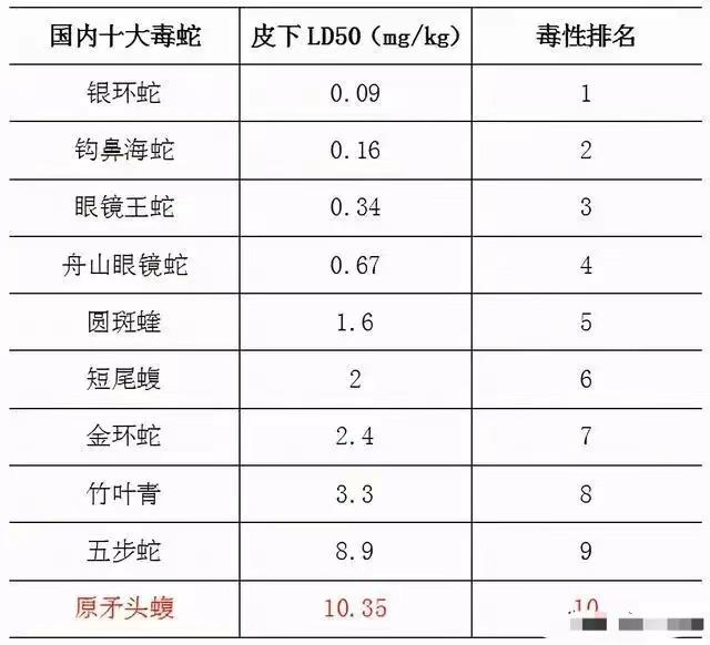 银环蛇是中国最毒的毒蛇吗,十堰发现白头蝰蛇
