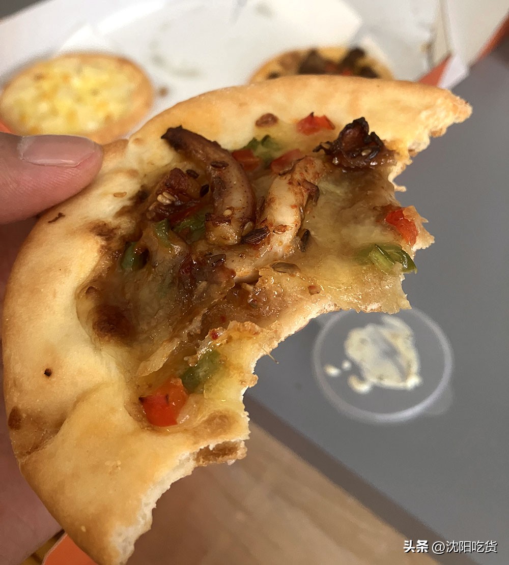 这是我吃过最贵的芝士披萨,这是我吃过的最美味的披萨饼英文