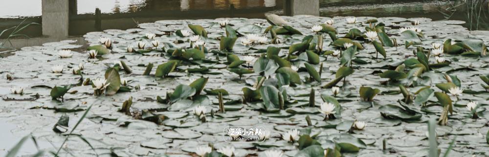 上海魔都附近小吃一条街,上海市周边小吃一条街