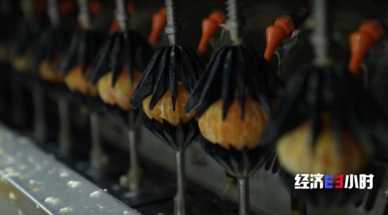 “一根芦笋卖三国”！卖汉服的曹县跨国卖“中国年货”，有企业年出口总货值达8亿元