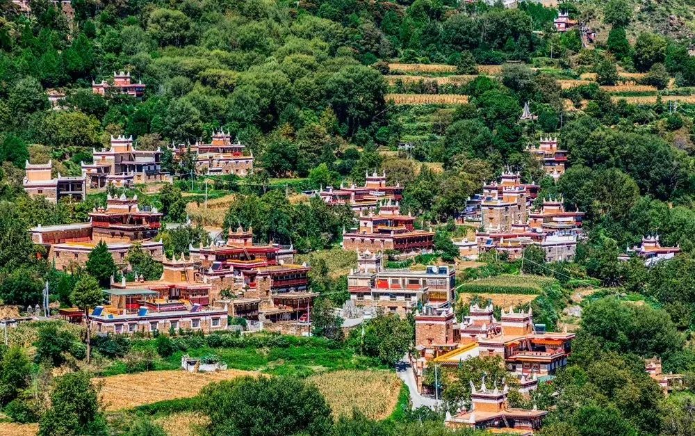 火出了圈,甘孜文旅局长化身侠客火出圈