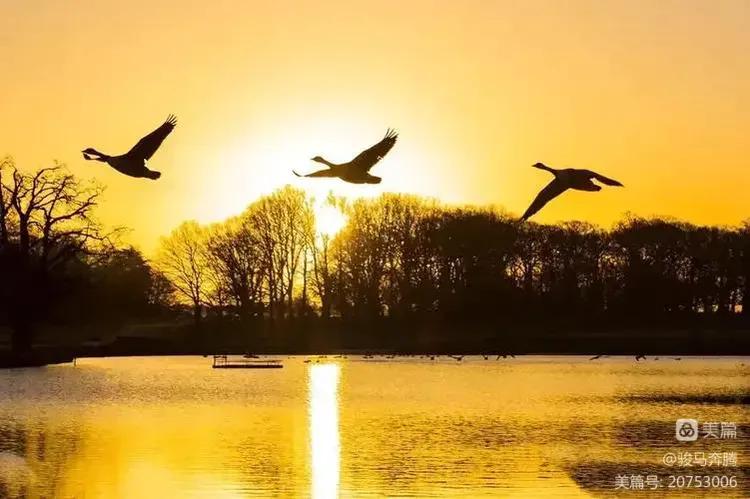 老干部对联,老干部对联大全