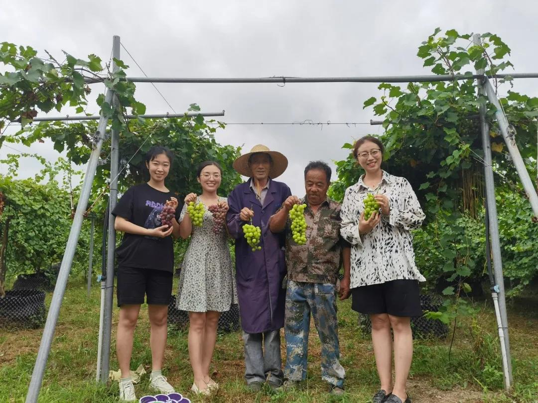 互联网创新创业大赛获奖作品,孙思捷全运会