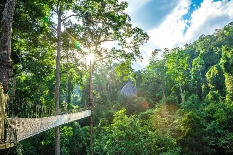 云南端午游玩自由行攻略,端午云南旅游推荐