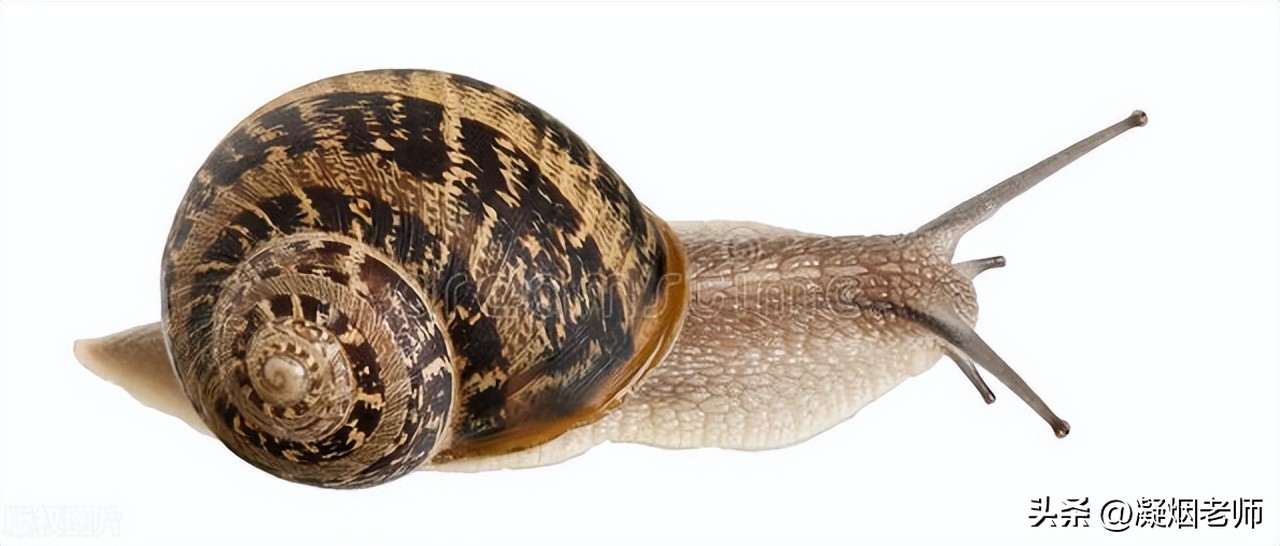 这种做法的英文翻译,这种做法英文