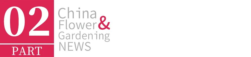 鍥藉叞绉嶈嫍,灞变笢鍥藉叞绉嶈嫍