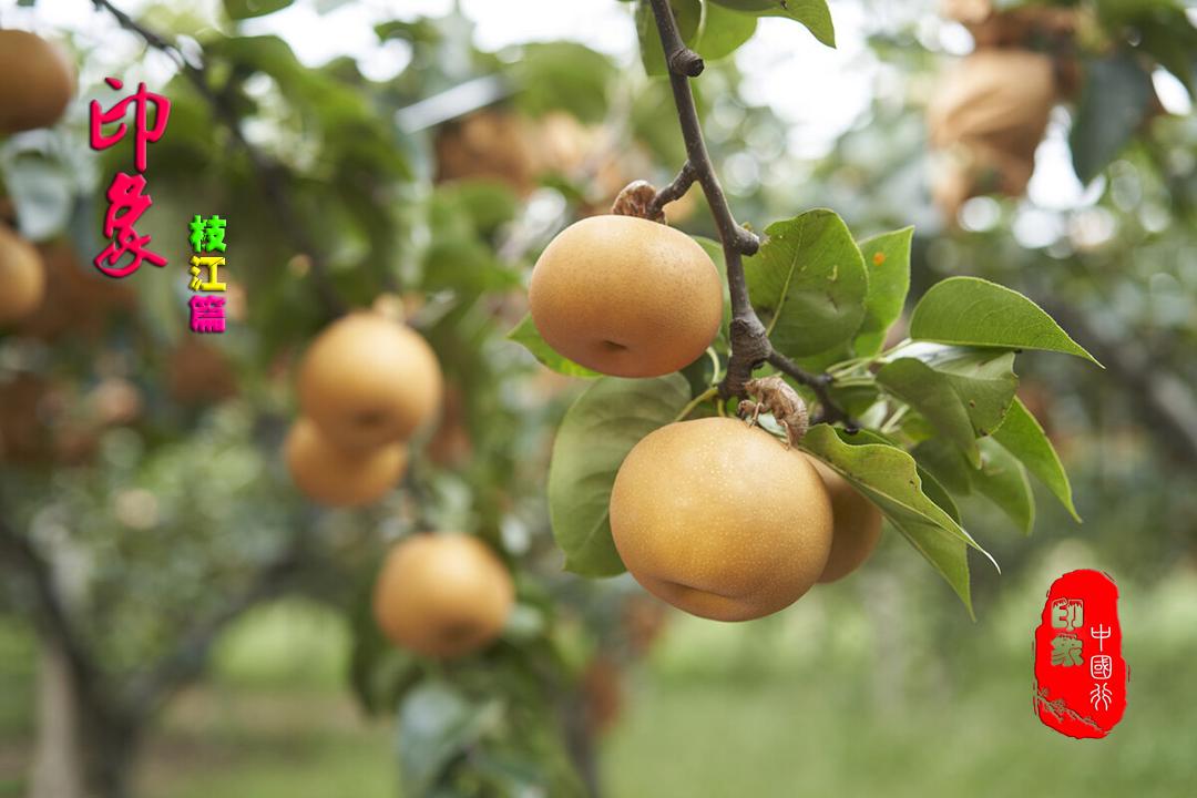 三佛寺古石桥,三佛寺合川老照片