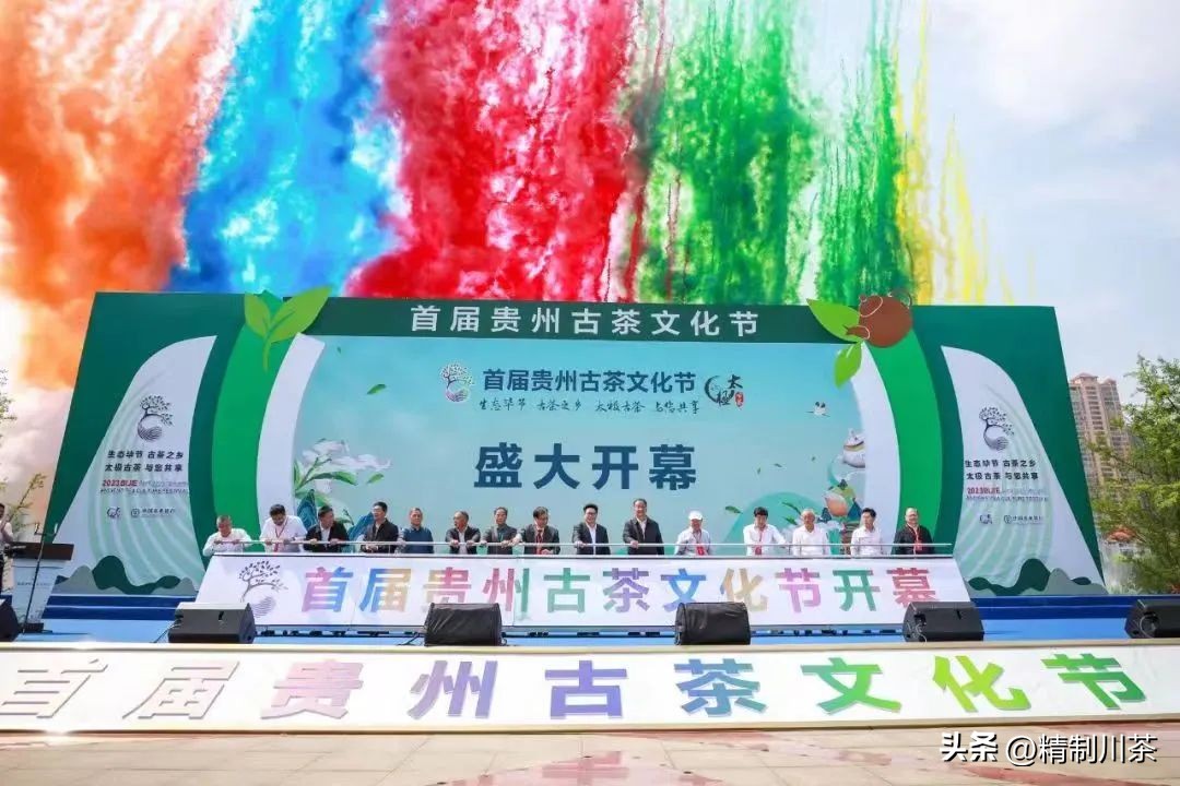 寻茶香赴春约---记四川省茶叶行业协会贵州毕节行