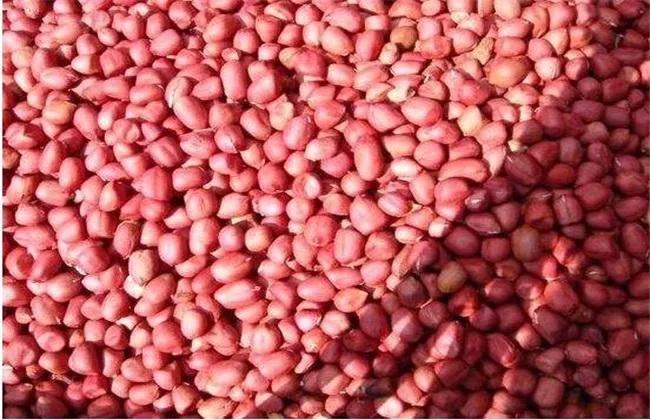 实用小妙招轻松解决生活大问题,生活上的小事怎么解决