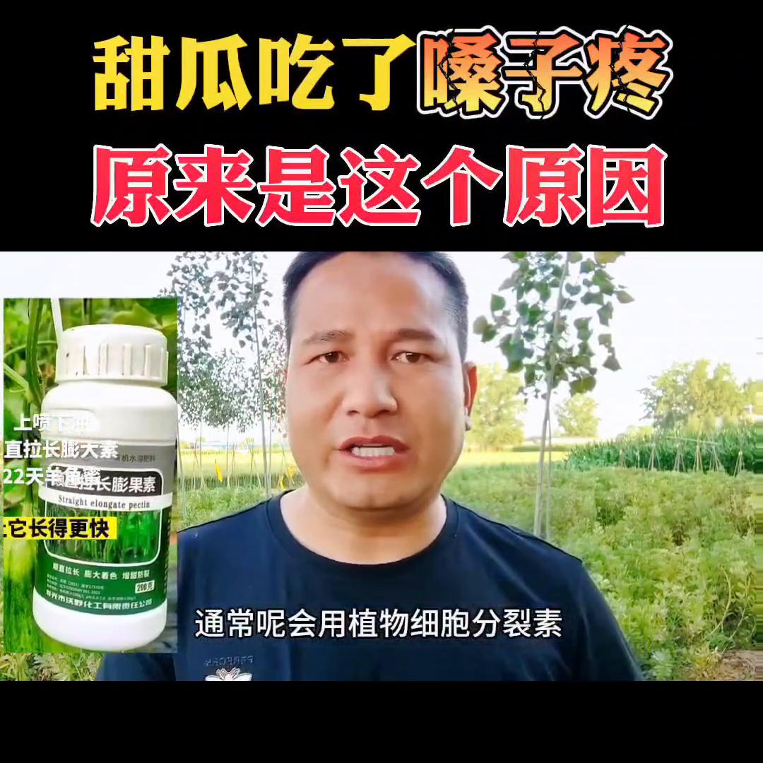 现在的甜瓜为什么吃完嗓子不舒服,这个甜瓜有点苦