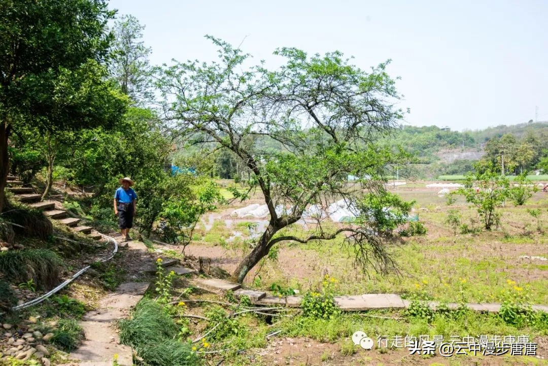 越江码头轮渡,越江轮渡在哪里