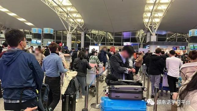 越南海关收小费打人事件处理结果,越南海关最新通告