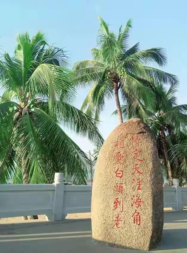 三亚天涯海角景区将免费,三亚网红景点遭私自圈地收费