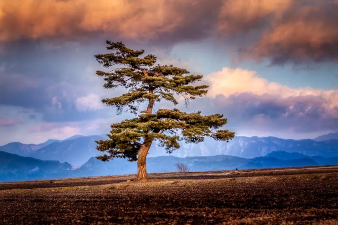 永远不要低估很少说话的人,不要低估一个话少的人