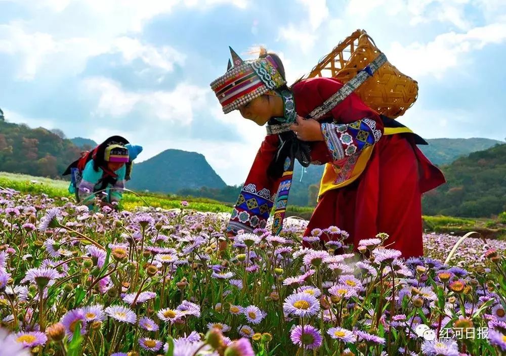 奋进新时代建功新征程走进老区,泸西红土地