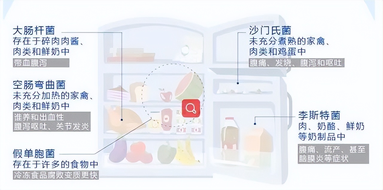 冰箱里有多脏,冰箱和马桶哪个脏