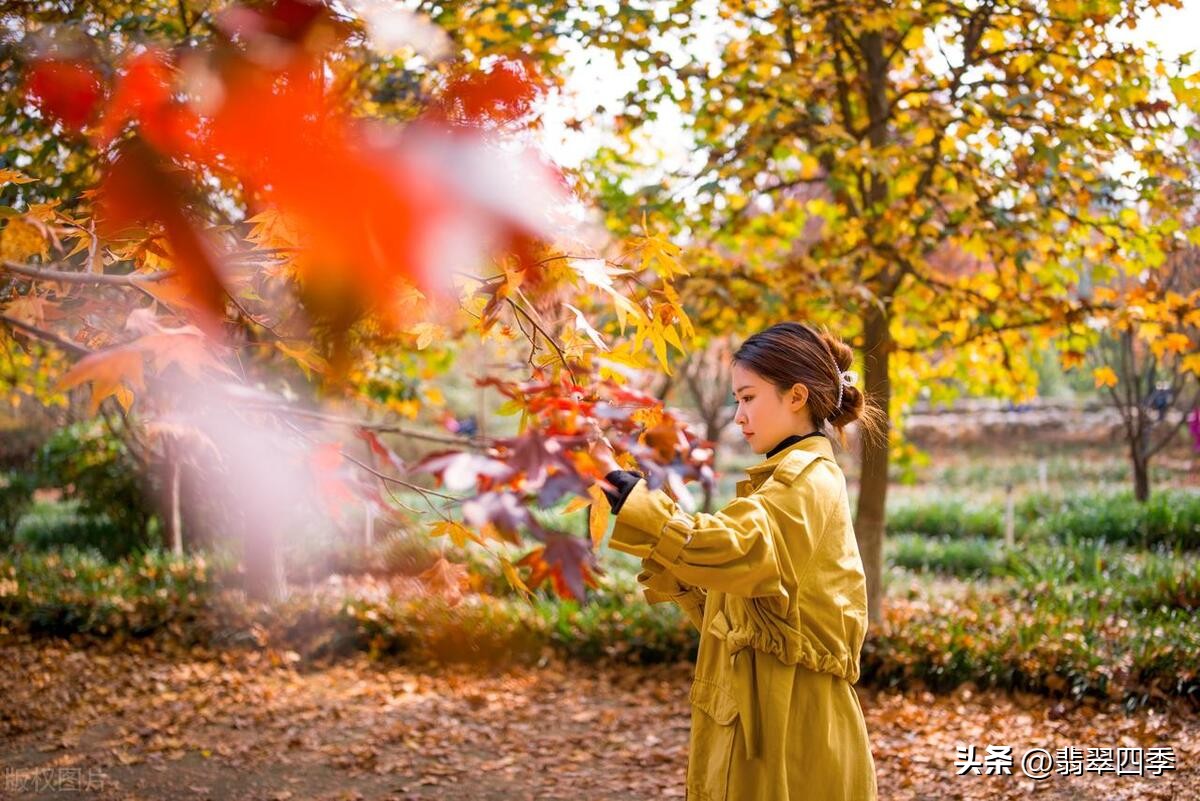 女人五十岁怎么做好事,40岁女人如何做好三件事情