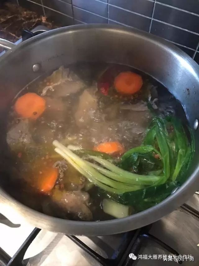 人间美味的动物有哪些,大雁做法和营养价值