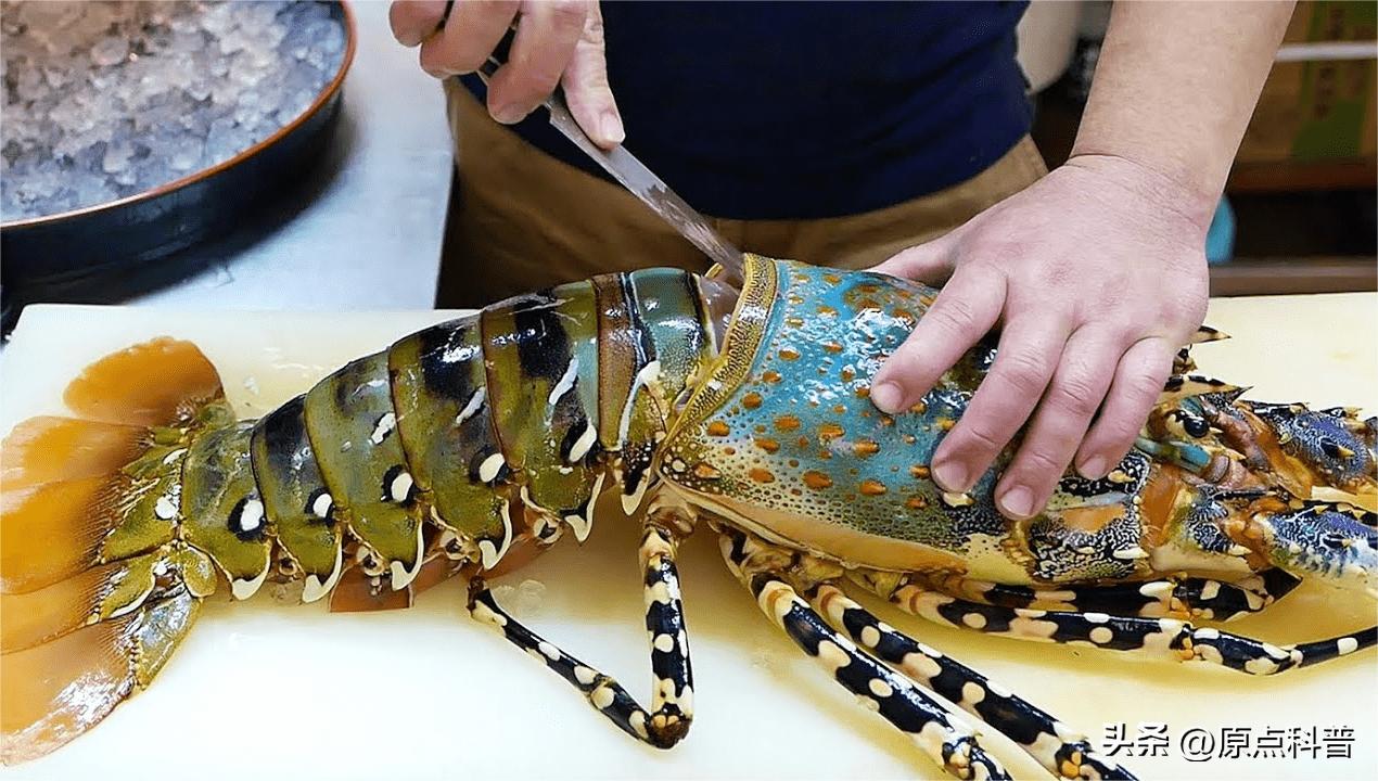 世界十大顶级海鲜排名,世界上十大最贵的十种海鲜