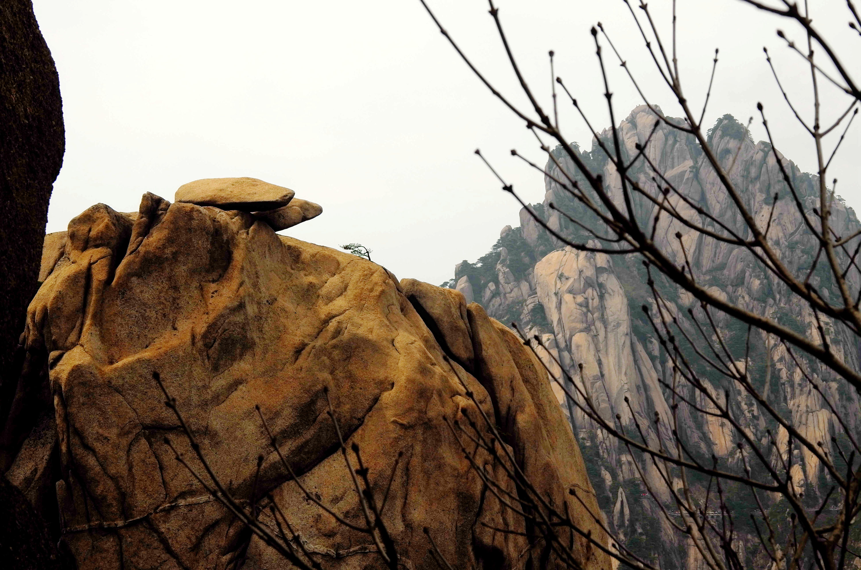 黄山天都峰会走鲫鱼背吗,黄山天都峰鲫鱼背第一视角
