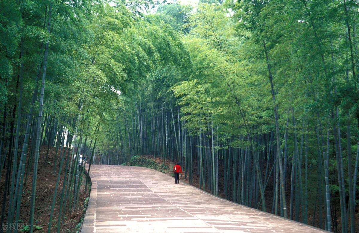 天府四川歌曲,天府四川歌曲原唱版