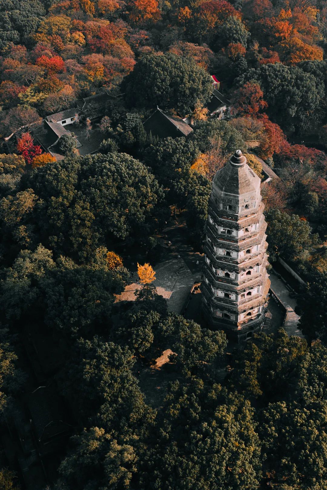 什么牌子水泡茶最好喝,什么牌子的水泡茶最好喝
