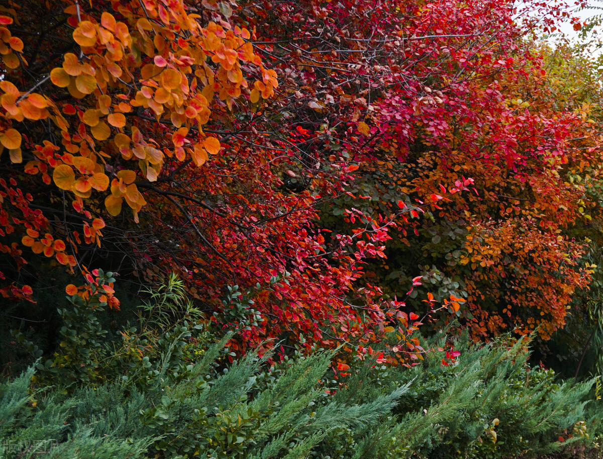 司马台长城最新视频,司马台长城介绍视频