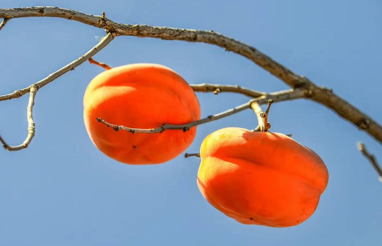 <html>
<head><title>502BadGateway</title></head>
<body>
<center><h1>502BadGateway</h1></center>
<hr><center>nginx</center>
</body>
</html>
<!--apaddingtodisableMSIEandChromefriendlyerrorpage-->
<!--apaddingtodisableMSIEandChromefriendlyerrorpage-->
<!--apaddingtodisableMSIEandChromefriendlyerrorpage-->
<!--apaddingtodisableMSIEandChromefriendlyerrorpage-->
<!--apaddingtodisableMSIEandChromefriendlyerrorpage-->
<!--apaddingtodisableMSIEandChromefriendlyerrorpage-->
