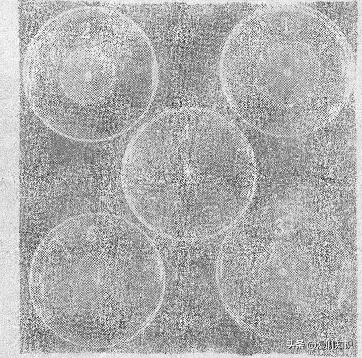 庆丰链霉菌是什么？关于它SQP1质粒的种间转移和表达
