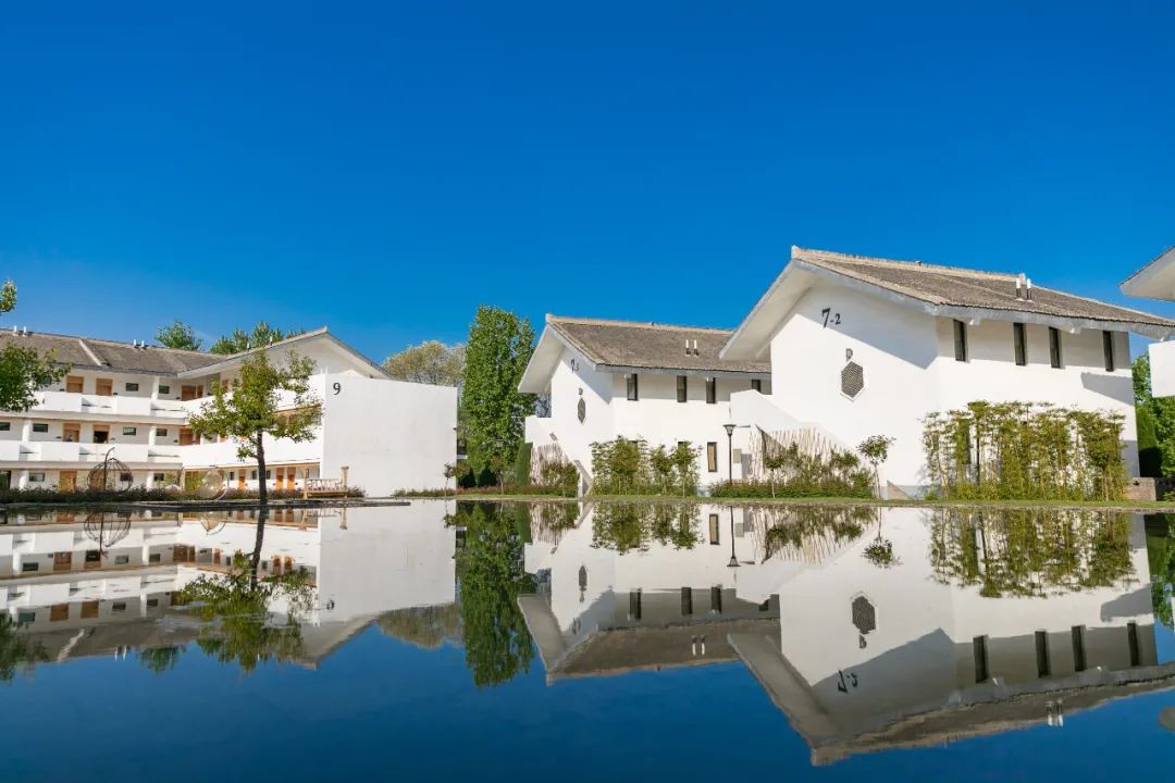 “沉浸式”云游王屋山、五龙口为何爆火网络？济源市文旅集团董事长张林揭秘