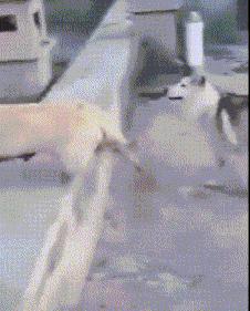 每日一笑闺蜜交了新男朋友,每日一笑之闺蜜交了新男朋友