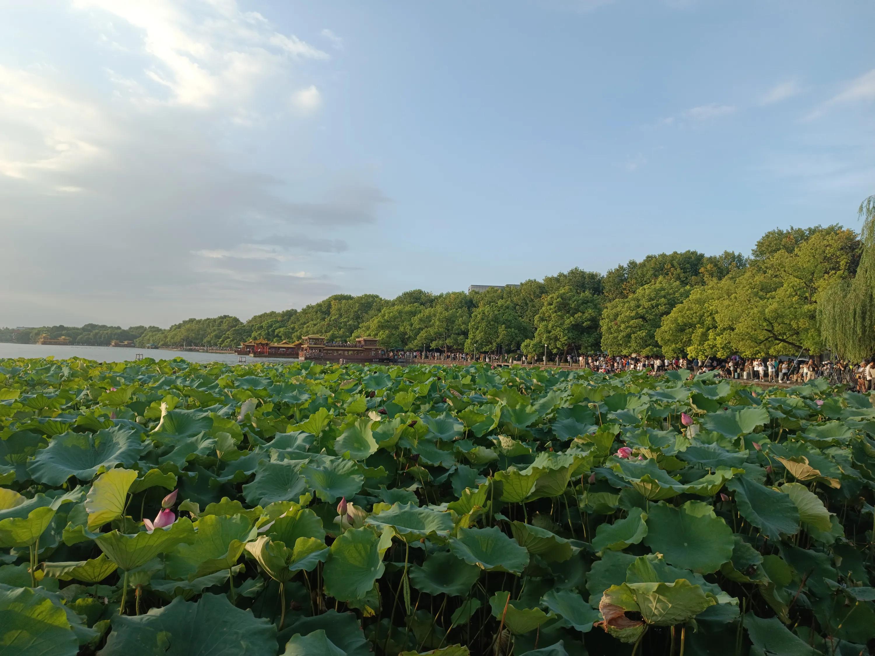 广州出差之行——学唱粤语歌