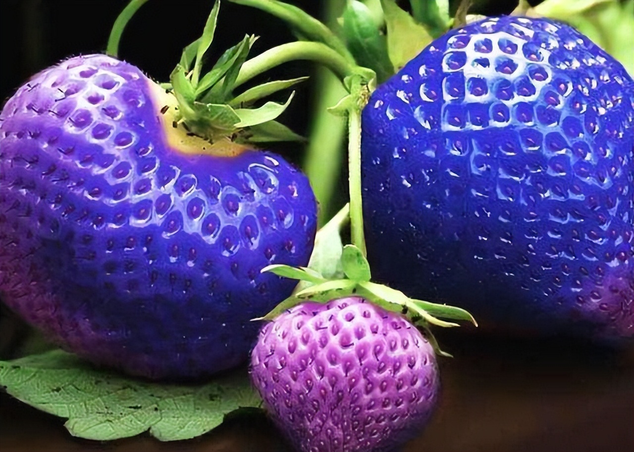 全球公认的6种水果,这六种比较贵的水果你吃过几种