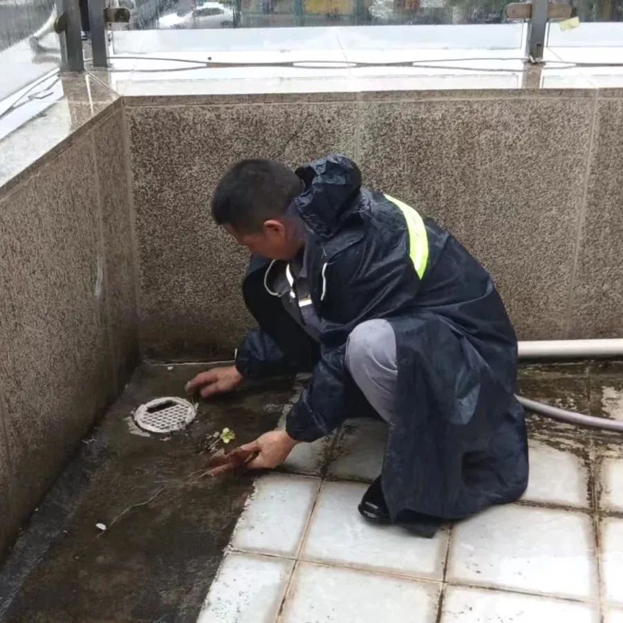 远洋物业青岛,远洋物业简介