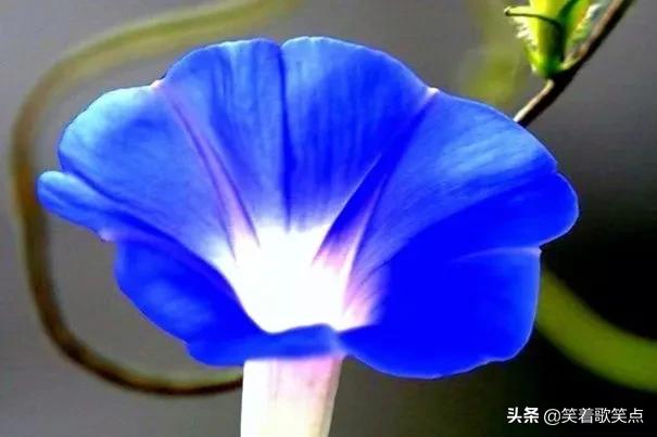 小小说：娘家没来一个人