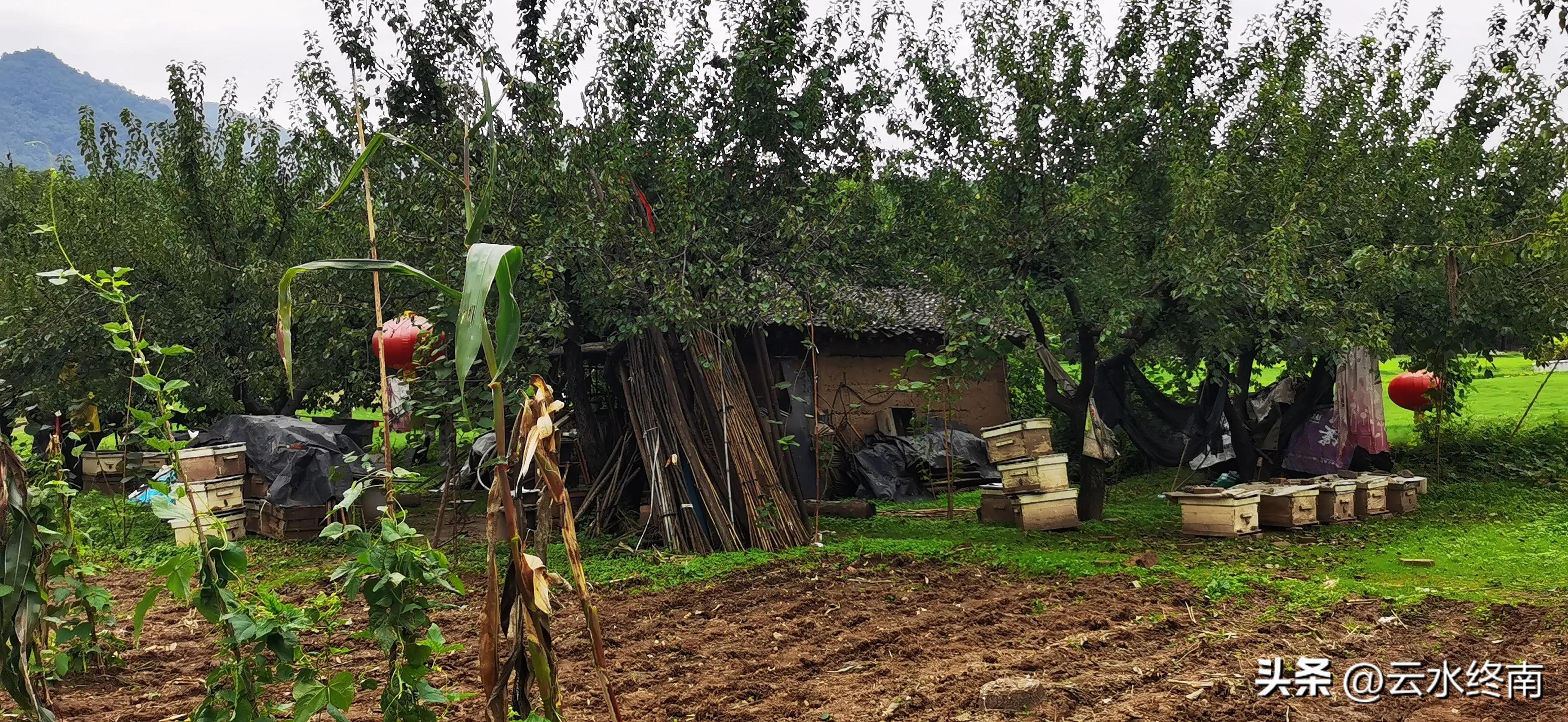 世界上最大室内植物园在哪,去世界上最大的动物园