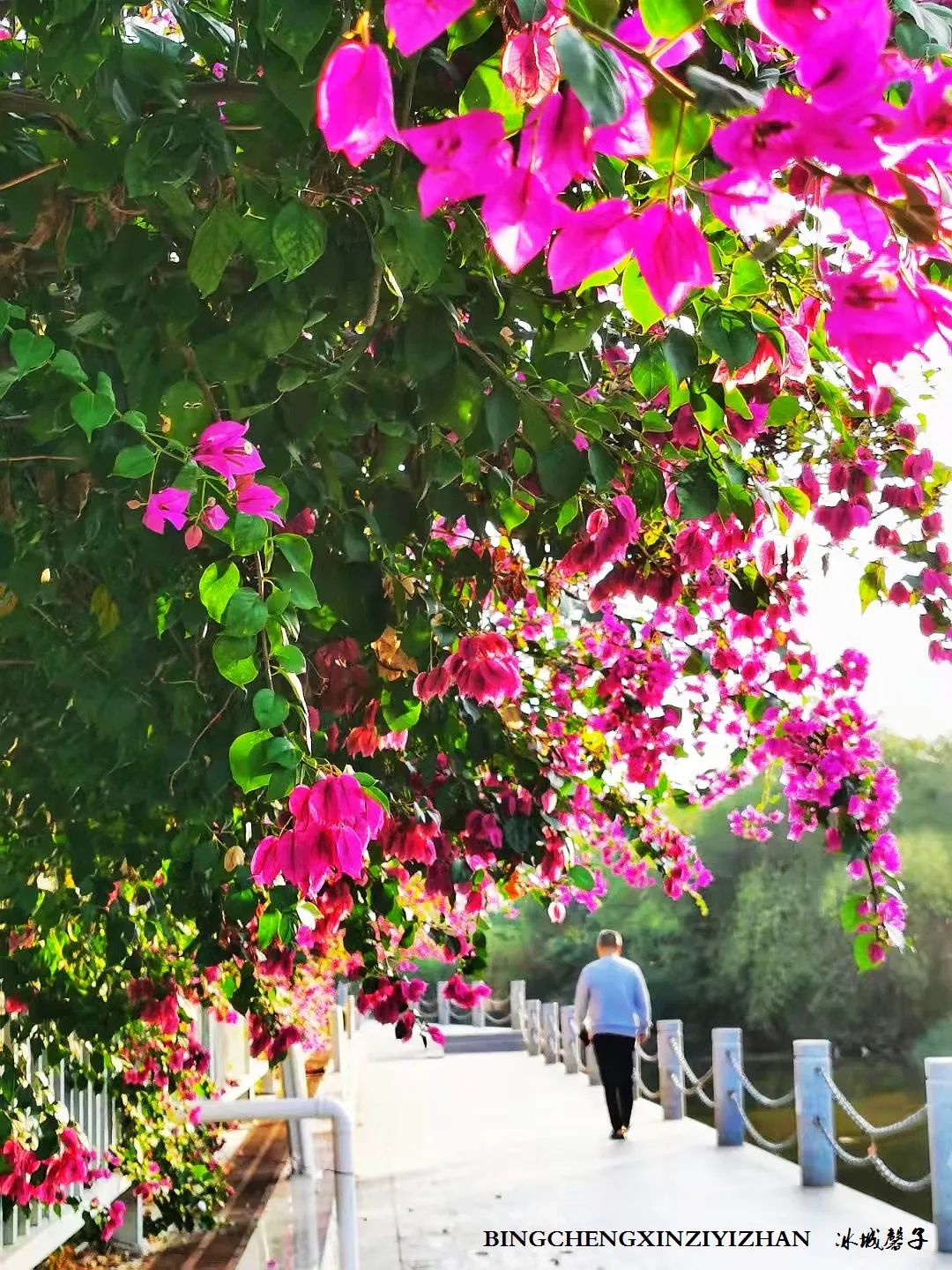 旅居海南,旅居式旅游生活海南
