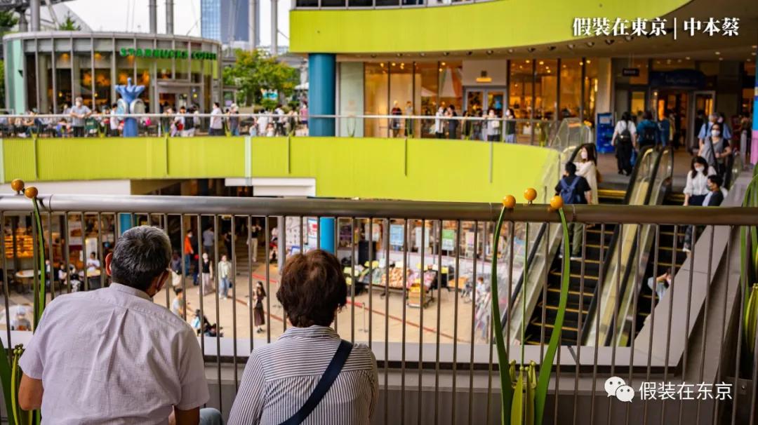 365张照片回顾,365张相片