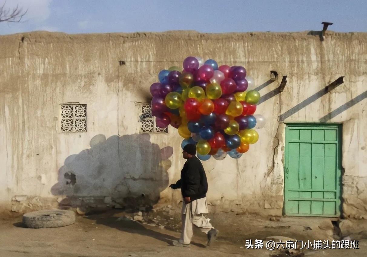 懂懂日记,懂懂日记全集完整版