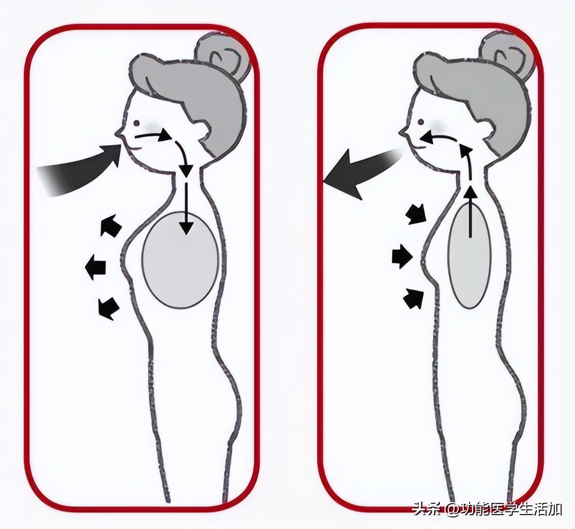 锻炼对寿命有影响吗,锻炼养生与寿命的关系