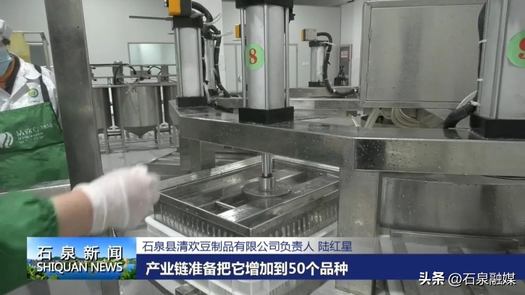 走基层看发展——石泉县饶峰镇丨陆红星：把小豆腐做成大买卖让家乡味道响当当