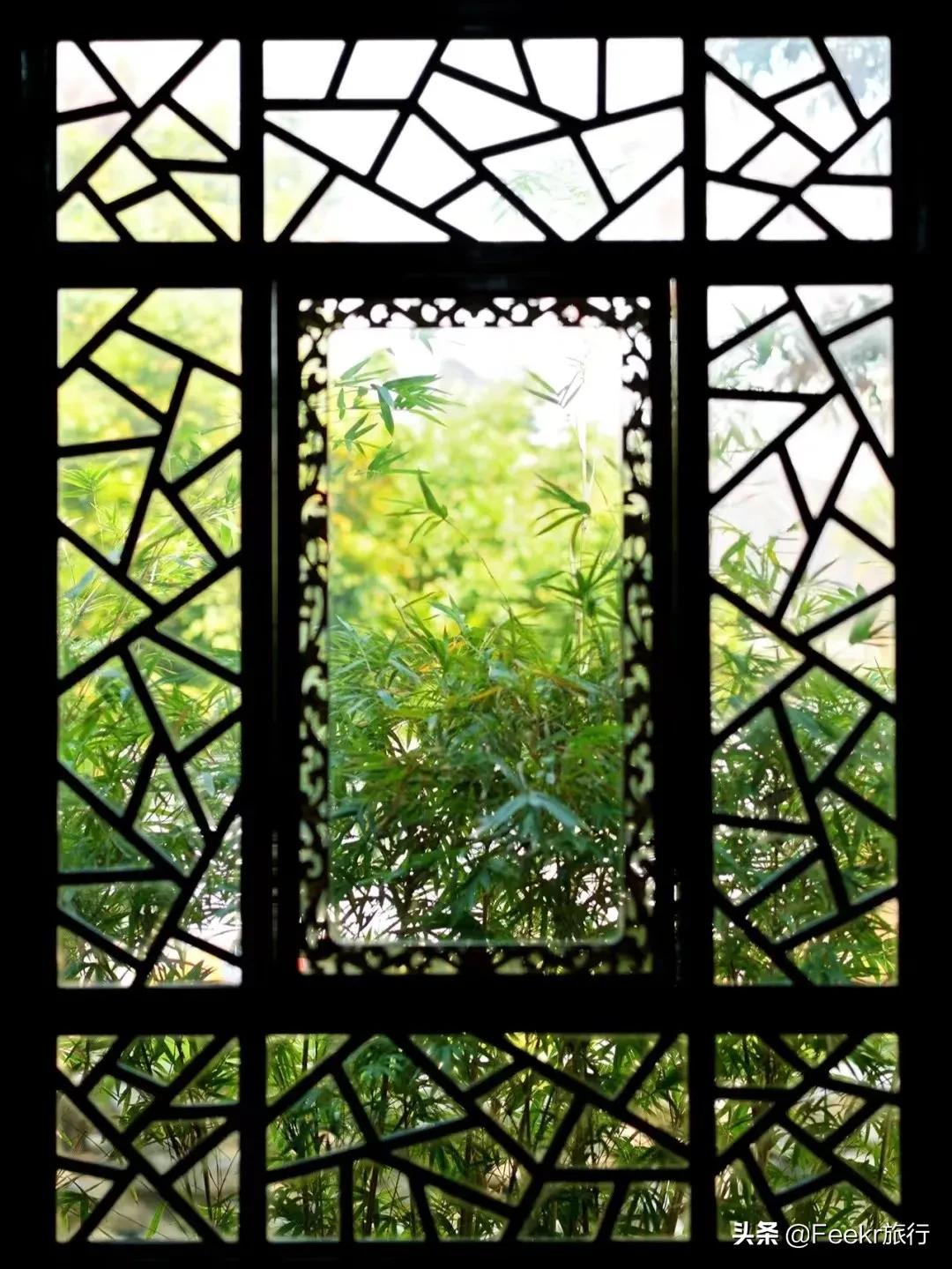 凭一部动漫突然火了，这座“世界美食之都”，你该知道了