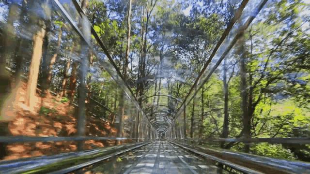 昆明夏季避暑旅游,昆明夏天避暑有哪些地方