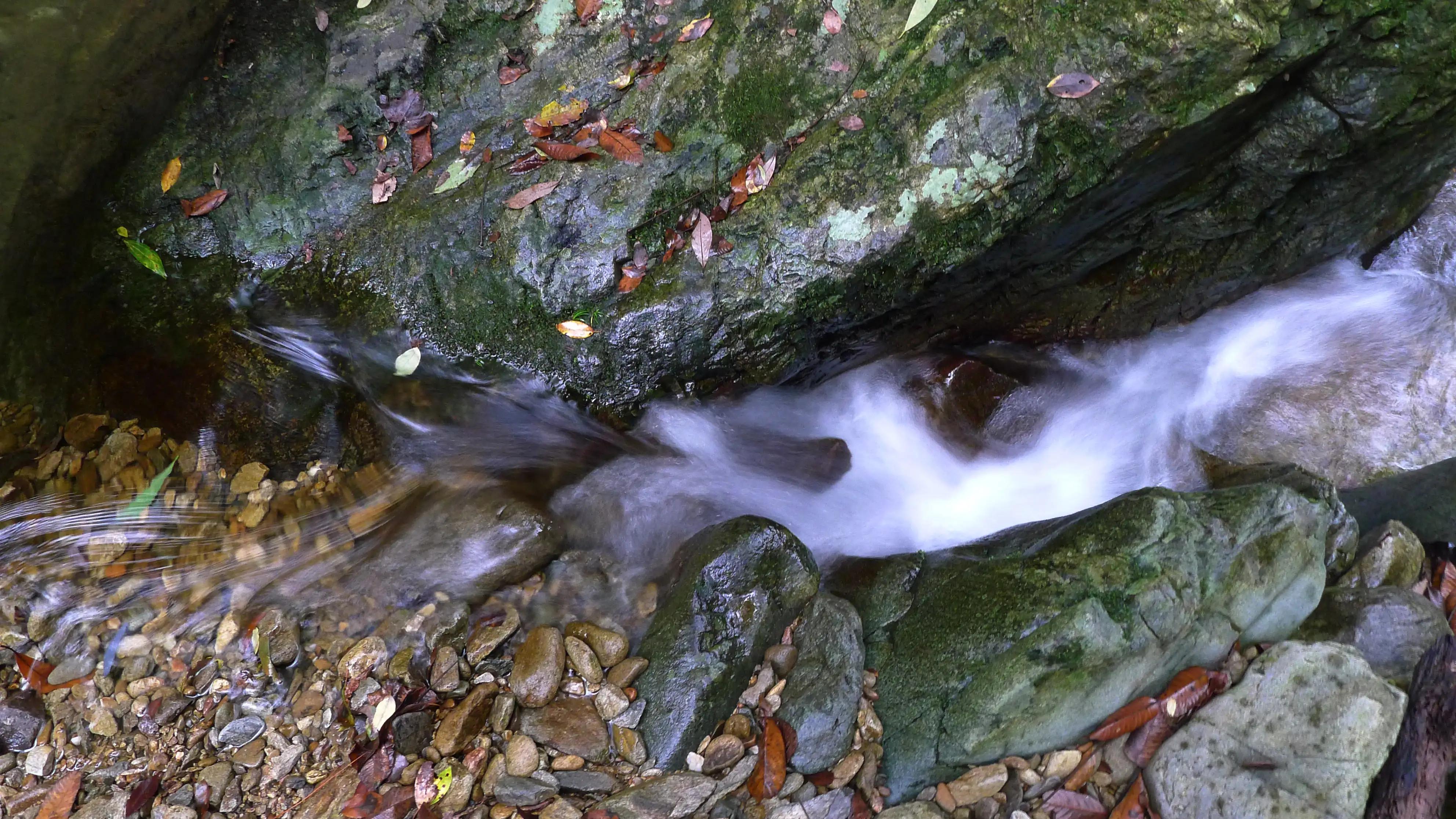 手机如何拍大片人像,手机如何拍大片