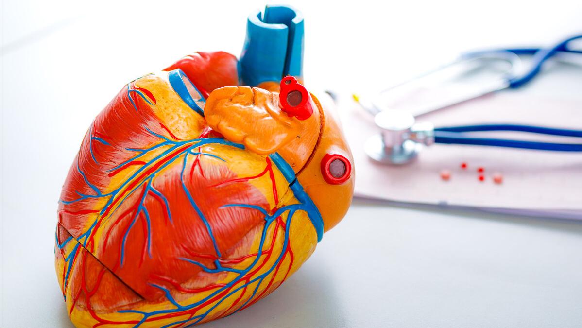 心跳速度会影响心电图吗,心跳太慢会导致什么后果科普