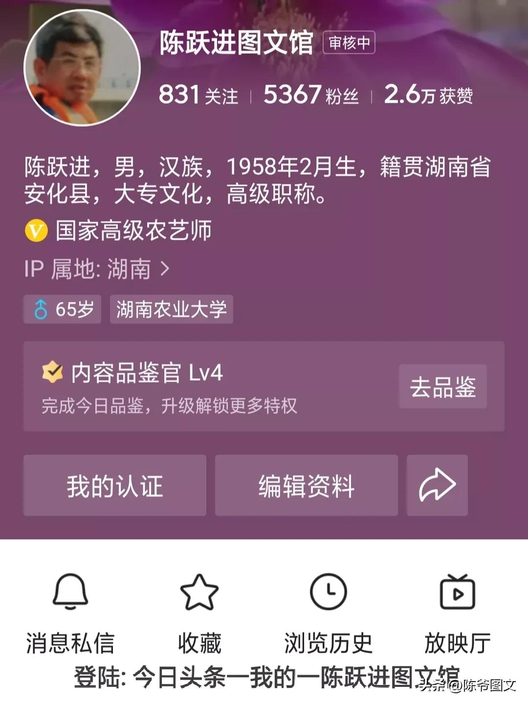 自媒体app登录,自媒体新手app