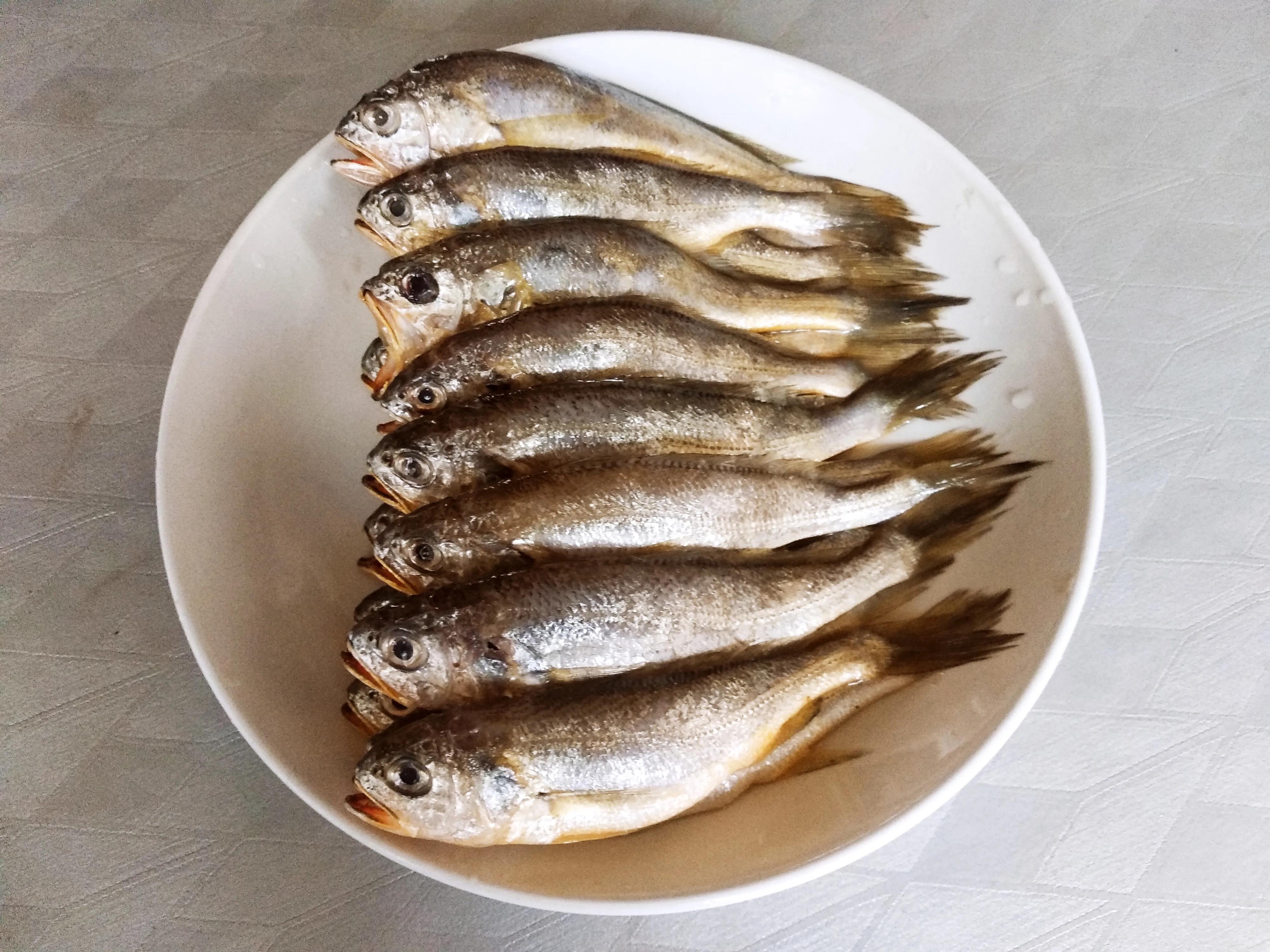 15种常见的海鱼,100种常见食用海鱼图谱