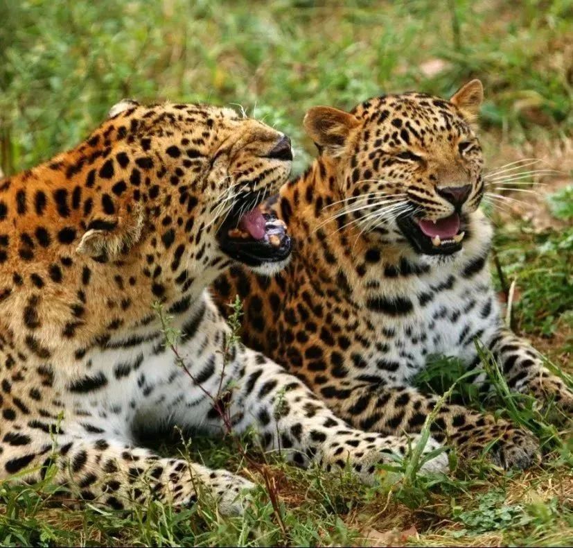 武汉特种兵式旅游攻略,南京特种兵式旅游攻略