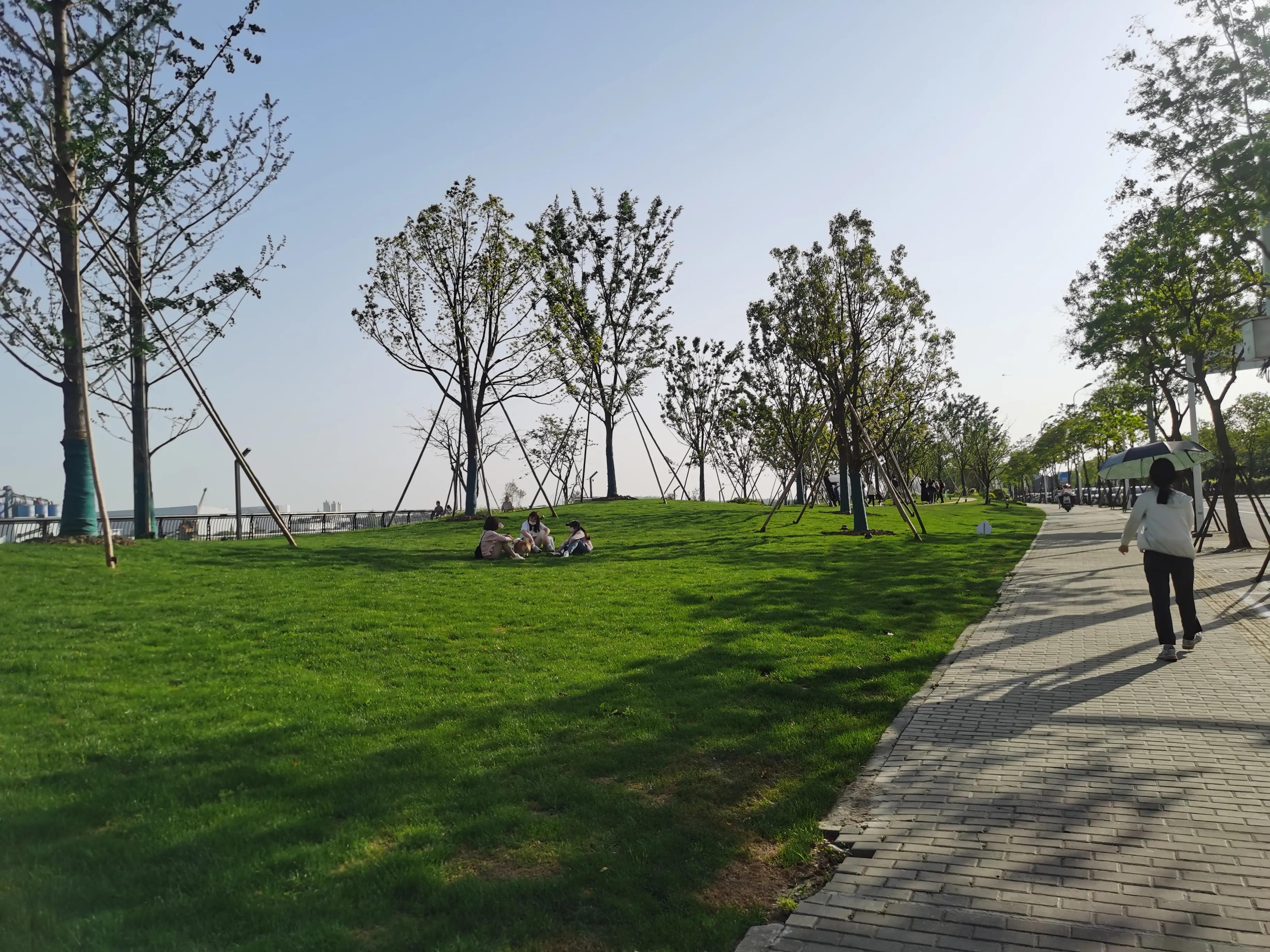 闵行滨江公园视频,闵行滨江公园景点